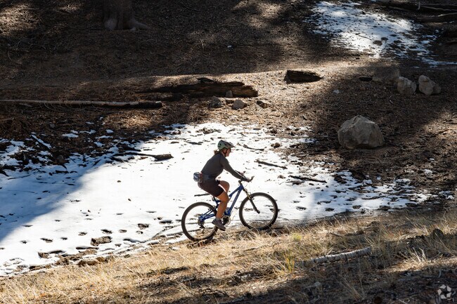 A mountain biker enjoys the trail in Mammoth Lakes up to Mammoth Mountain Ski Area.