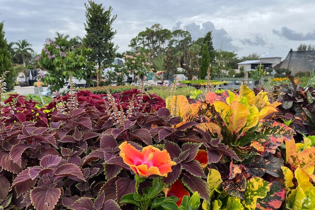 Colorful gardens with flowers bring life to the Park Ridge neighborhood.