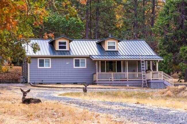 Residents of Merlin Oregon will find furry friends and wildlife visiting your entire orror.