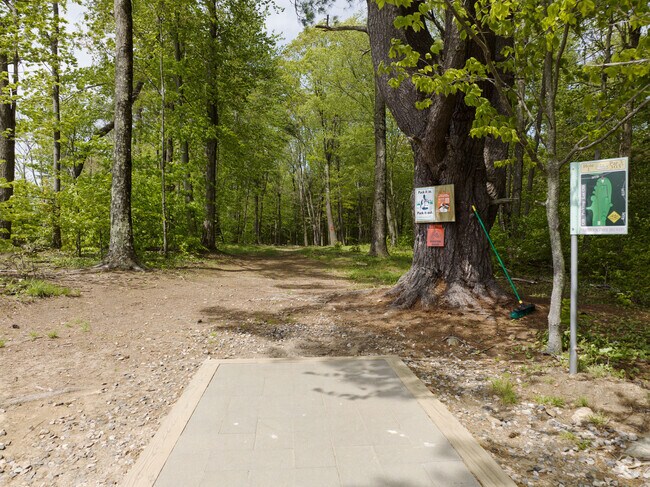 Colebrook residents can go for a hole in one on Norbrook's frisbee golf course.