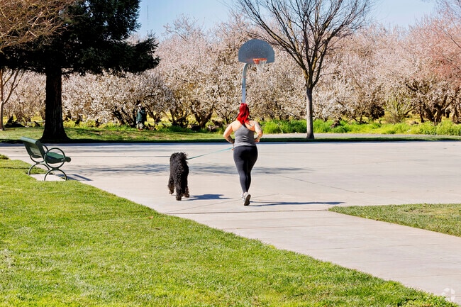 Take a jog at Salazar Park in Bret Harte, Modesto, CA.