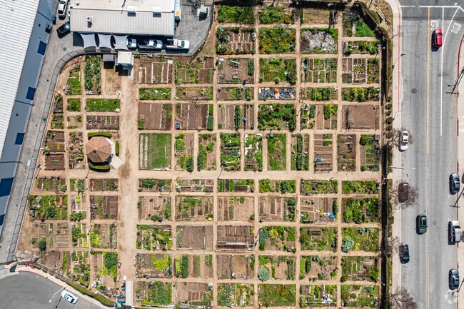 Alhambra Tract residents enjoy fresh produce and greenery at the Alhambra Community Garden.