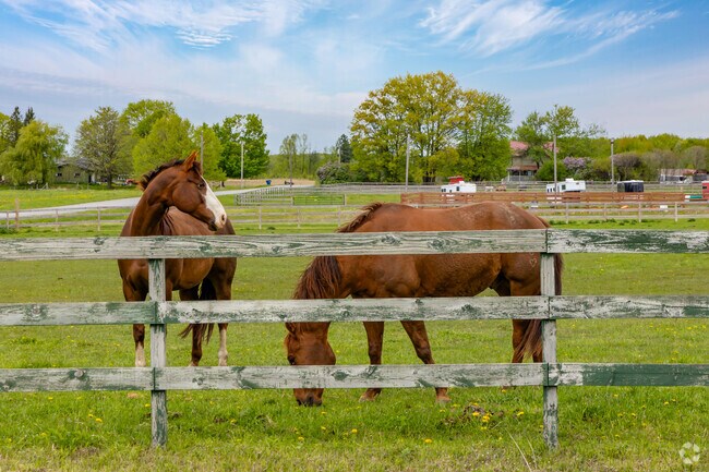 Horses graze peacefully in a pasture, adding the rural charm of Kronenwetter.