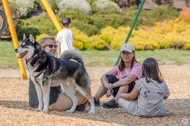 Even furry family members are welcome at Pie in the Park in Kingston WA.