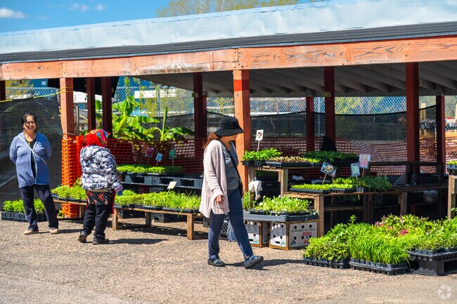Farmers at the Hmong Town Flea Market, locally grow all their plants and veggies in MN.