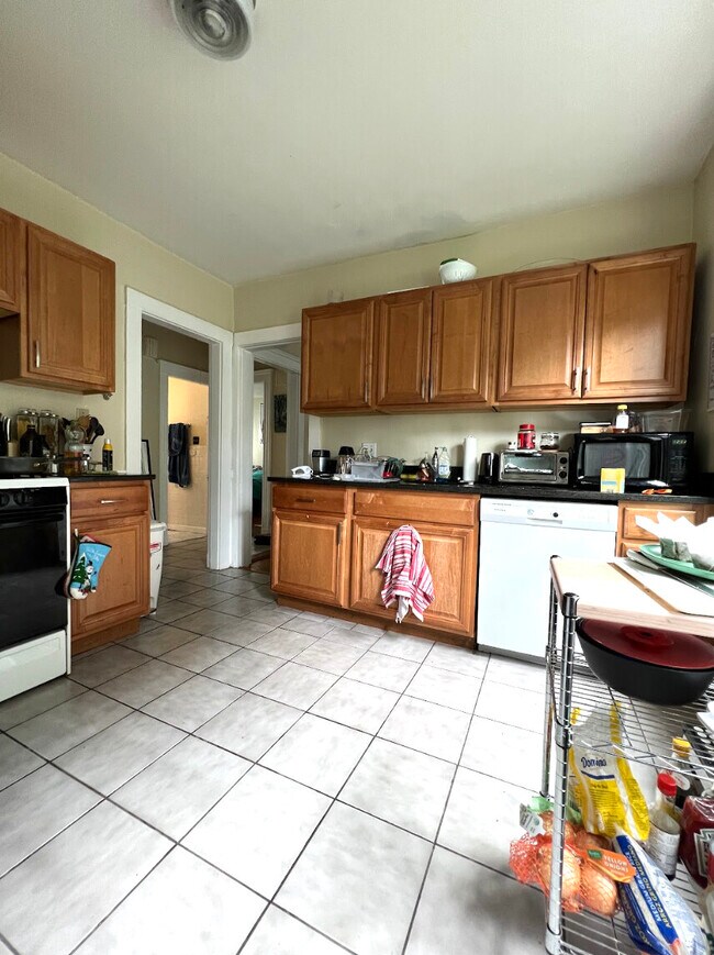 22 Boulevard Terrace unit 1, Allston, MA 02134 - photo 5