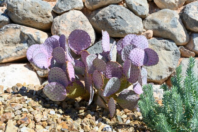 Green Spring is a beautiful and quite neighborhood.