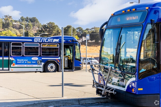 West Cat bus stops are found frequently throughout Hercules and they have pick ups every hour.