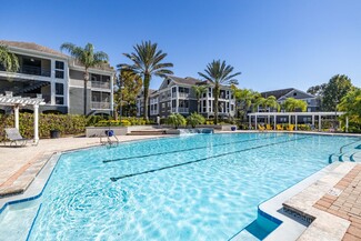 1502 Marsh Cove Ct, Tampa, FL 33619