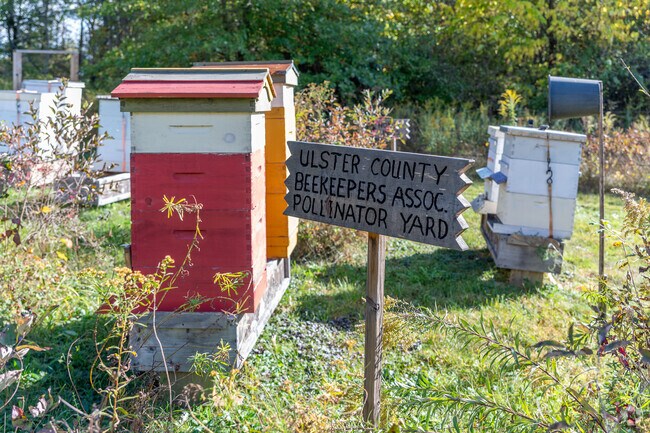 A pollinator yard blooms at Shawangunk Grasslands National Wildlife Refuge.