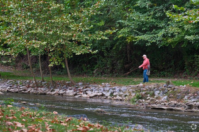 Find a place to catch some fish along the Antietam Creek in Breathedsville.