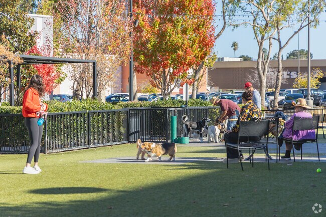 Village Green Dog Park is the perfect place to enjoy time with your dog.