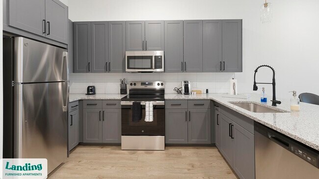 650 E Sycamore St unit 3305, Denton, TX 76201 - photo 5