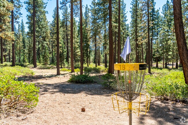 Zephyr Cove is home to a championship, 18-hole disc golf course with challenging holes overlooking Lake Tahoe.