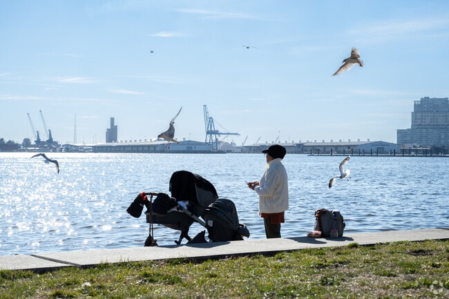 Feed the birds at Canton Park near O'Donnell Heights.