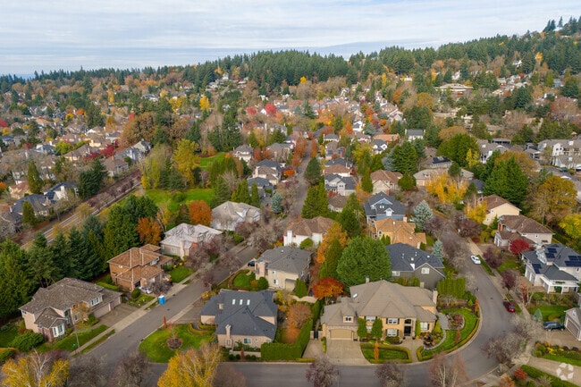 An elevated look at the homes and the valley in Waluga, Lake Oswego.