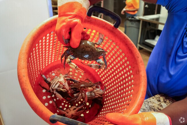 For a taste of the Baltimore's fave, pick up some crabs at Crab City Seafood in Franklintown Rd.