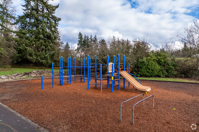 Mt. View Elementary School playground.