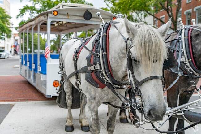 Living in Historic Downtown Wilmington means sharing the charm of horse-drawn carriages, a nostalgic nod to the city’s vibrant heritage and welcoming community.