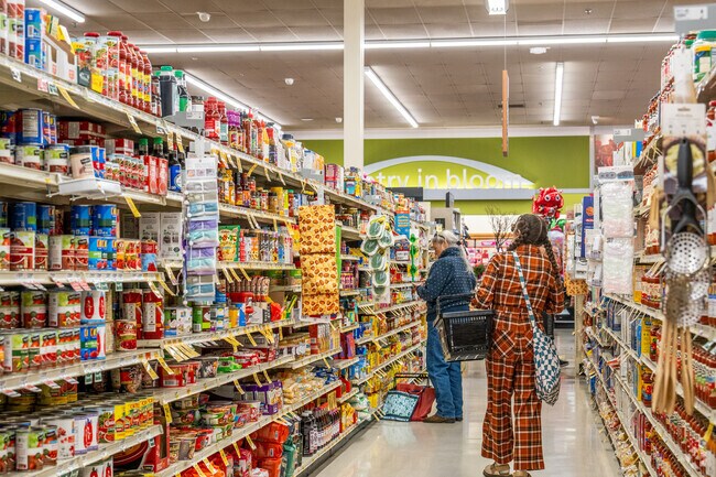 You can find many shops around the Channel Islands area.