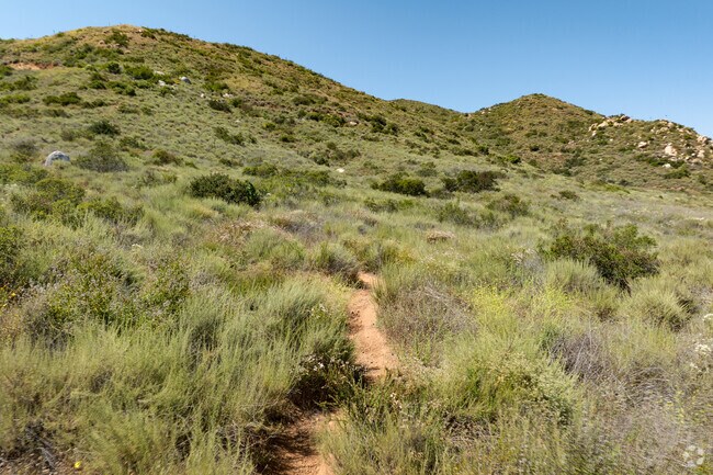 A trail view at the Sabre Springs Open Space just behind the neighborhood.