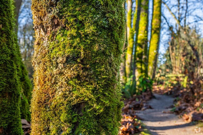 Walker Preserve in Five Corners offers beautiful nature and wildlife along the trail.