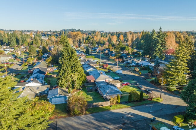 Most of the older homes in Five Corners are single-level ranch homes with tall trees.
