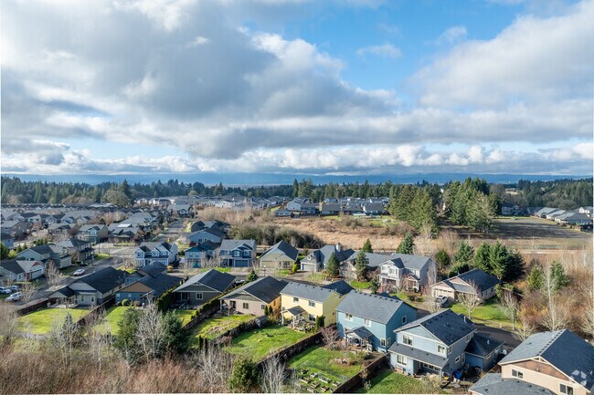 Most homes in the city were built after 2020 in the new traditional style with Craftsman details.