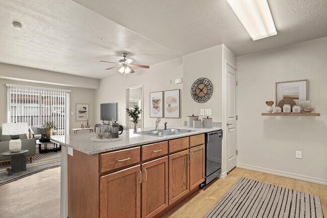 Kitchen/Living room view