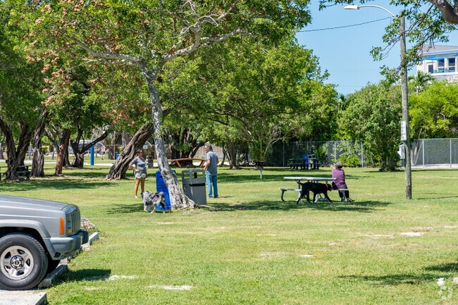 The dog park at Harvey Harris Park is one of Tavernier's favorite hangout spots.
