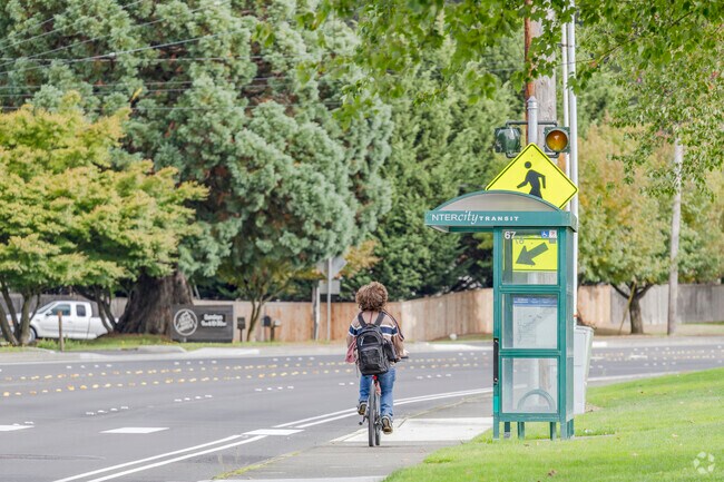 Plenty of bus stops to go around in Lacey WA.