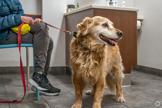 The Kenwood Pet Clinic offers a friendly visit to keep your furry friends healthy.