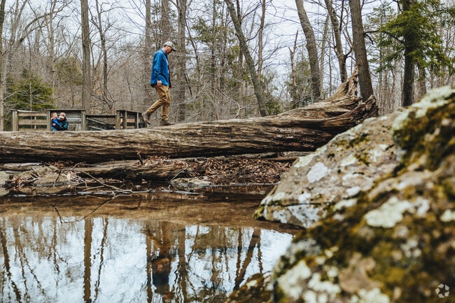 Catoctin Mountain Park invites hikers and nature lovers year-round.