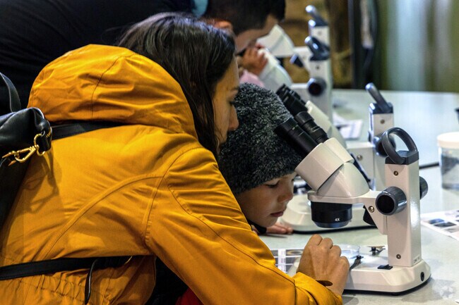 The MaST Center Aquarium at Redondo Beach lets you examine ocean life through microscopes.