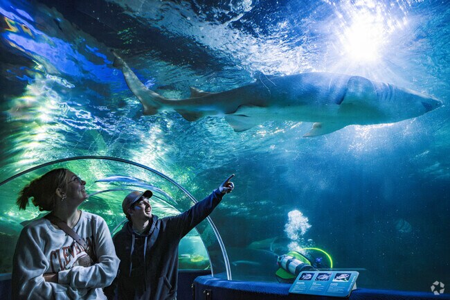 West Bank is home to the Greater Cleveland Aquarium and its 175ft Shark Gallery and SeaTube.