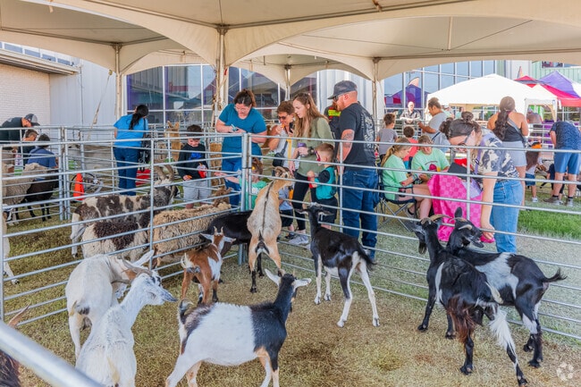 CritterFest offers goat petting that Levelland families really enjoy.