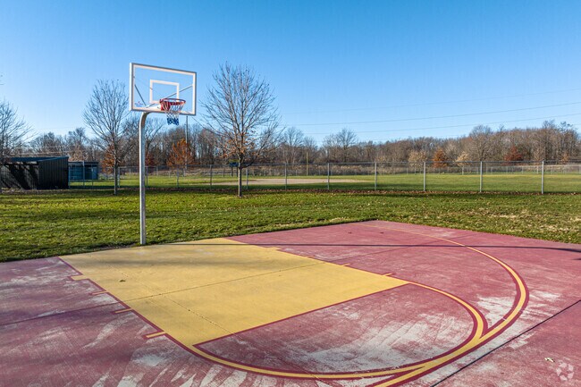 Athletes of the Potterville neighborhood can play at Potter Park's basketball court.