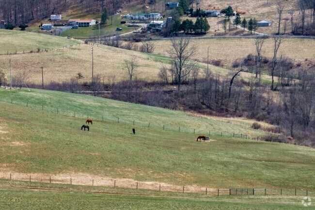 Horses at White Fox Equestrian Center in Amwell Township are out grazing on a sunny day.