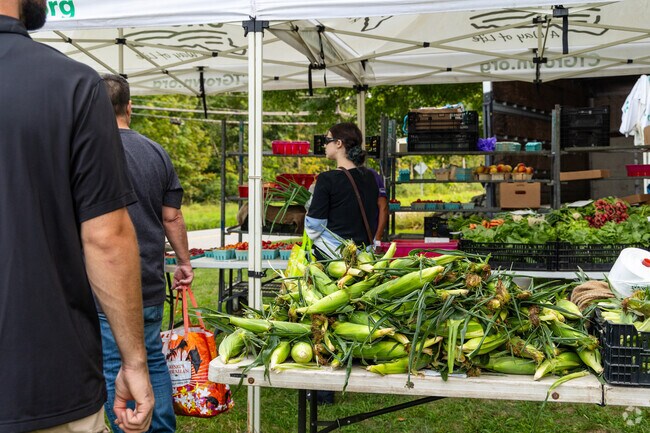 Pick up locally grown fresh produce at Bozrah Farmers Market.