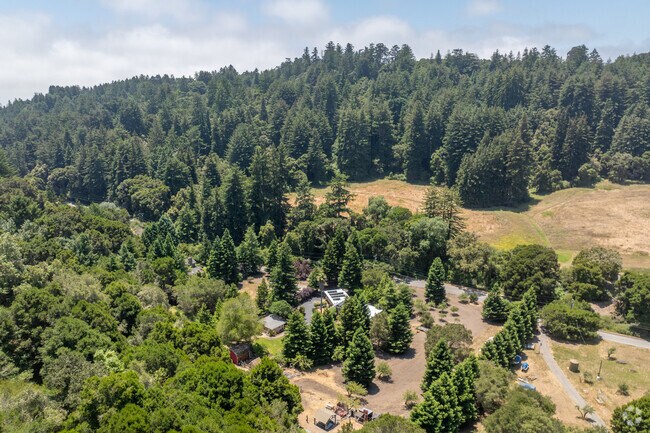 Magic Apple School supports holistic child development.