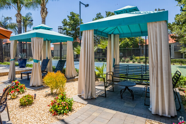 Resort-Style Pool and Amenities