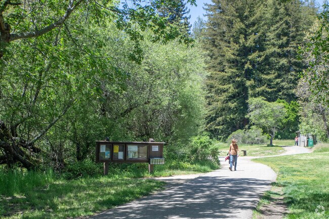 Hikers can find paved trails in part of Reinhardt Regional Park close to Millsmonts in Oakland.