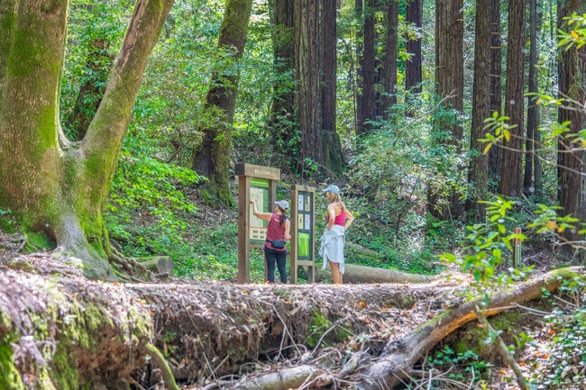 A map of the trail system is situated at the Dawn Falls Trailhead.