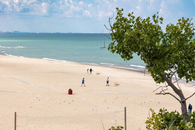 While eating at the Dunes Pavilion, enjoy views of beach volleyball and beachgoers.