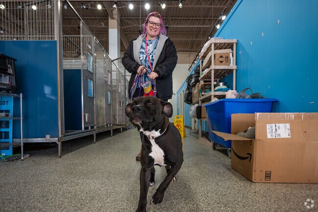 Residents of the Platte Ridge neighborhood are racing to KC Pet Project to rescue lovable pets.