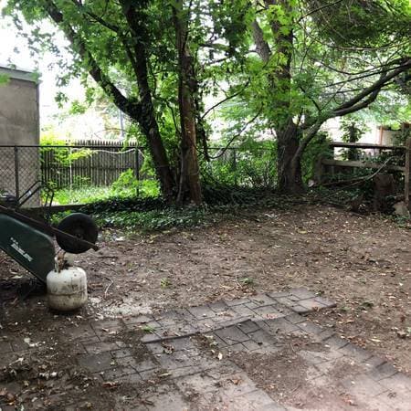 Rear yard