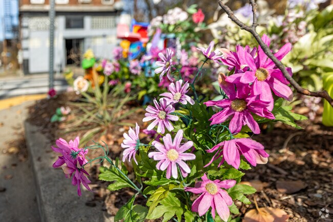 Homewood North stays humble.