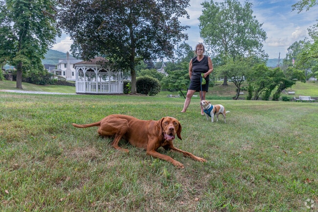 A resident of Hillburn enjoys a walk with her dogs at Veterans Memorial Park in Hillburn.