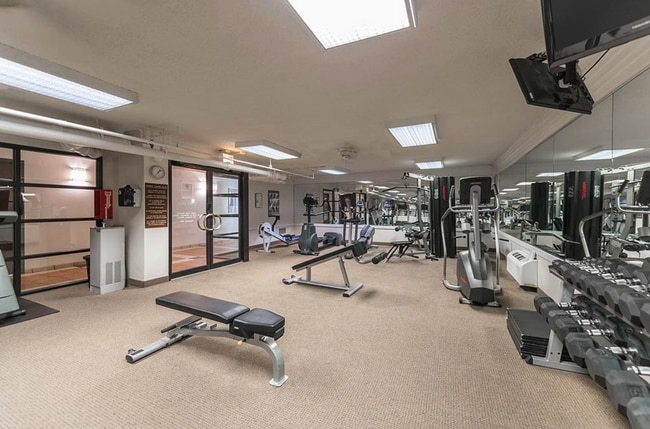 70 East Scott West Wing unit 706, Chicago, IL 60610 - photo 6