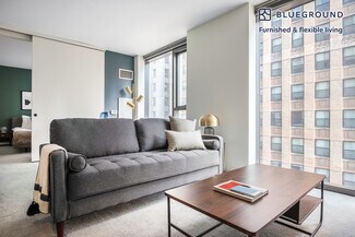 210 N Wells St Unit FL16-ID252, Chicago, IL 60606